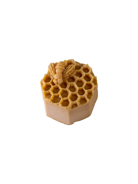 Honey Bee Comb